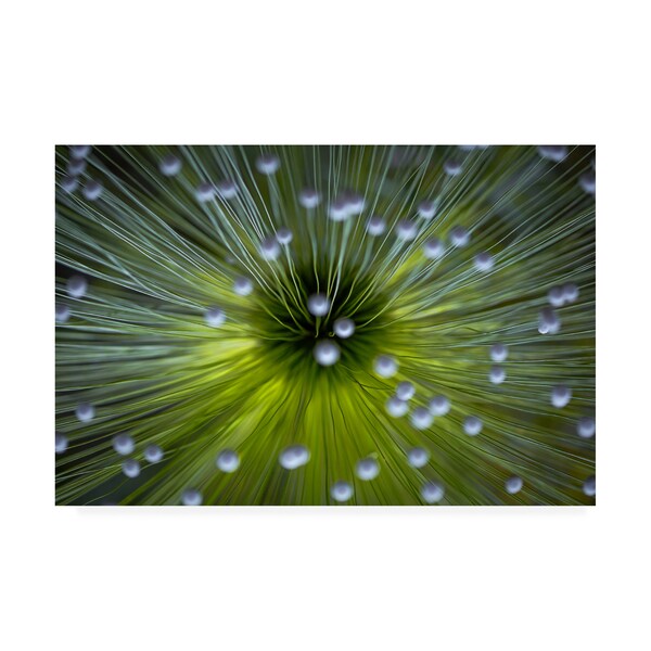 Trademark Fine Art Wave Faber 'Inverted Commas' Canvas Art, 30x47 - 1X08569-C3047GG