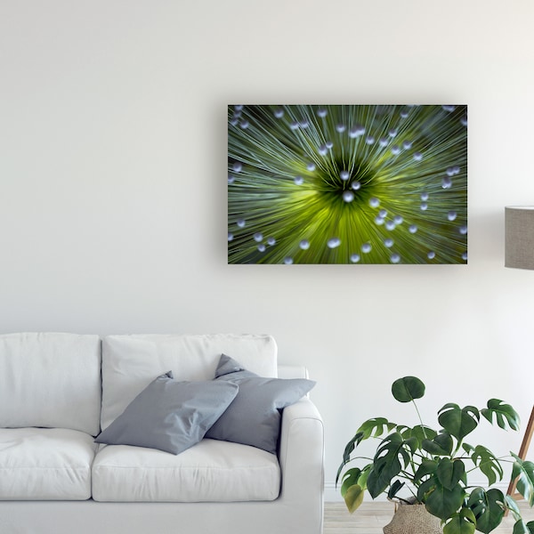 Trademark Fine Art Wave Faber 'Inverted Commas' Canvas Art, 30x47 - 1X08569-C3047GG