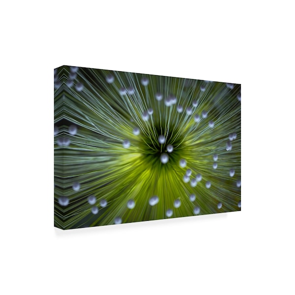 Trademark Fine Art Wave Faber 'Inverted Commas' Canvas Art, 30x47 - 1X08569-C3047GG