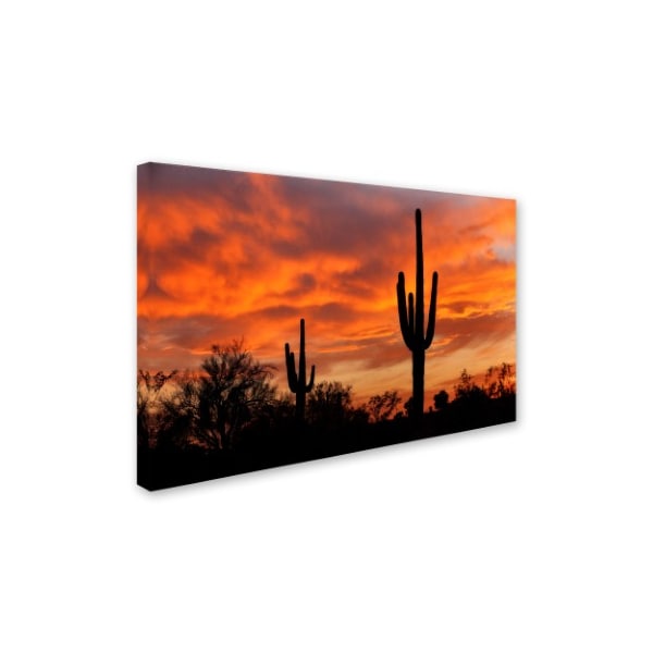 Trademark Fine Art Mike Jones Photo 'Saguaros Amazing Sunset 5' Canvas Art, 12x19 - ALI17788-C1219GG