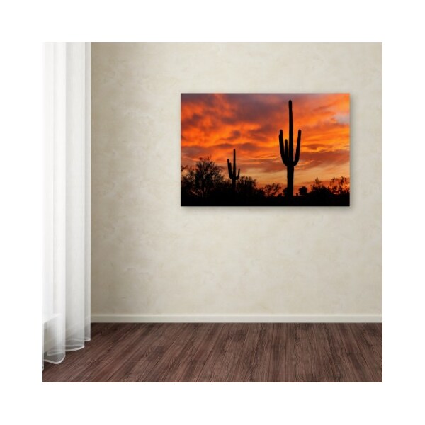Trademark Fine Art Mike Jones Photo 'Saguaros Amazing Sunset 5' Canvas Art, 12x19 - ALI17788-C1219GG