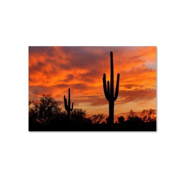 Trademark Fine Art Mike Jones Photo 'Saguaros Amazing Sunset 5' Canvas Art, 12x19 - ALI17788-C1219GG