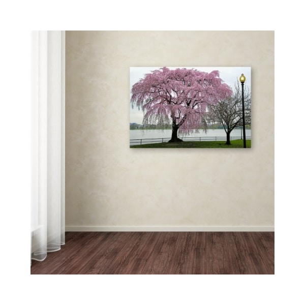 Trademark Fine Art CATeyes 'Cherry Tree' Canvas Art, 12x19 - MZ0360-C1219GG