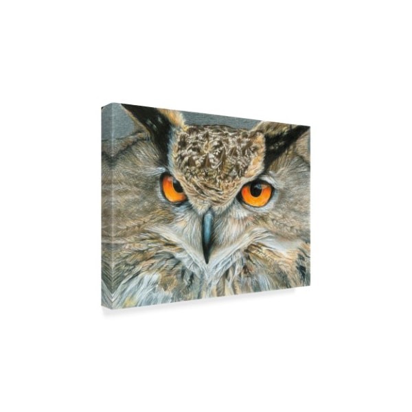 Trademark Fine Art Carla Kurt 'Orange Eyed Owl' Canvas Art, 14x19 - ALI39236-C1419GG