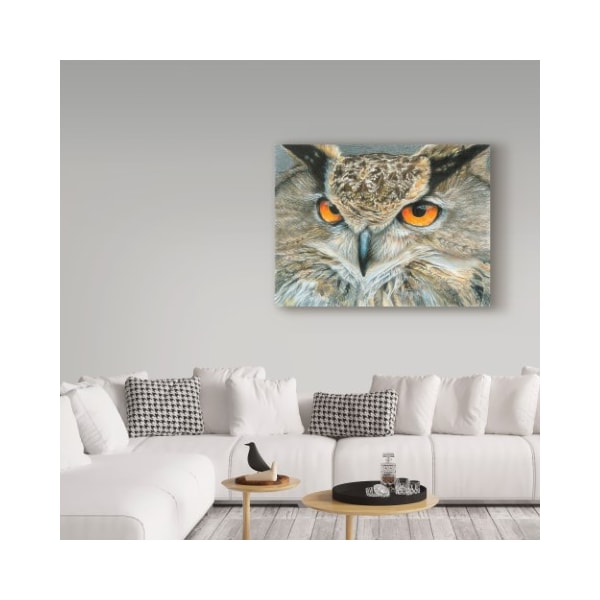 Trademark Fine Art Carla Kurt 'Orange Eyed Owl' Canvas Art, 14x19 - ALI39236-C1419GG