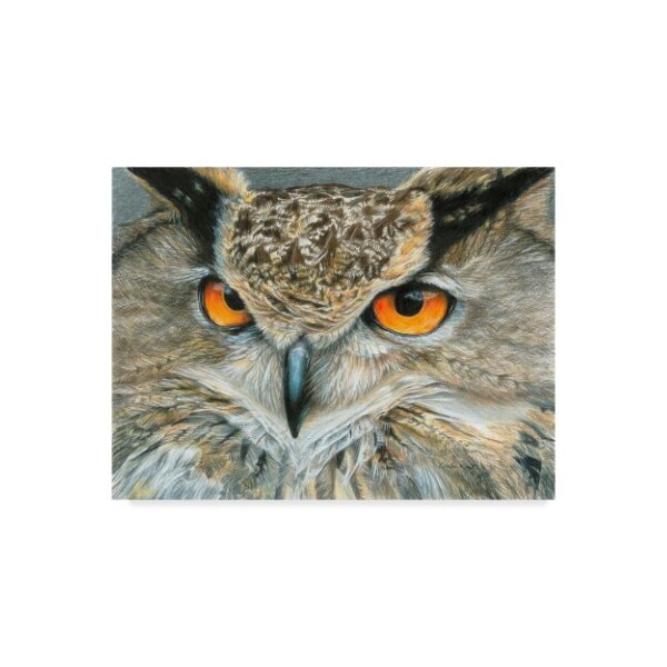 Trademark Fine Art Carla Kurt 'Orange Eyed Owl' Canvas Art, 14x19 - ALI39236-C1419GG
