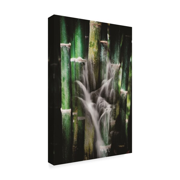 Trademark Fine Art Philippe Sainte-Laudy 'Wet Bamboos' Canvas Art, 30x47 - PSL01288-C3047GG