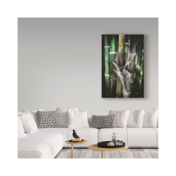 Trademark Fine Art Philippe Sainte-Laudy 'Wet Bamboos' Canvas Art, 30x47 - PSL01288-C3047GG