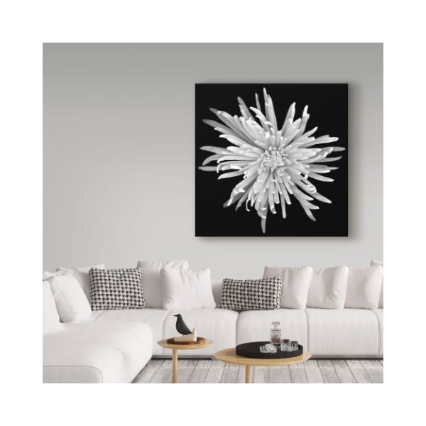 Trademark Fine Art Susan S. Barmon 'Chrysanthemum 1 Black And White' Canvas Art, 14x14 - ALI34310-C1414GG