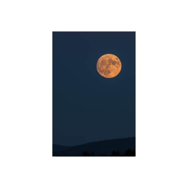 Trademark Fine Art Brenda Petrella Photography Llc 'Supermoon Rise Over Ridge' Canvas Art, 22x32 - ALI40423-C2232GG