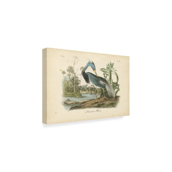 Trademark Fine Art John James Audubon 'Audubons Louisiana Heron' Canvas Art, 30x47 - WAG02443-C3047GG
