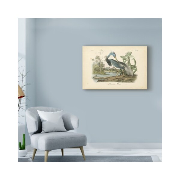 Trademark Fine Art John James Audubon 'Audubons Louisiana Heron' Canvas Art, 30x47 - WAG02443-C3047GG