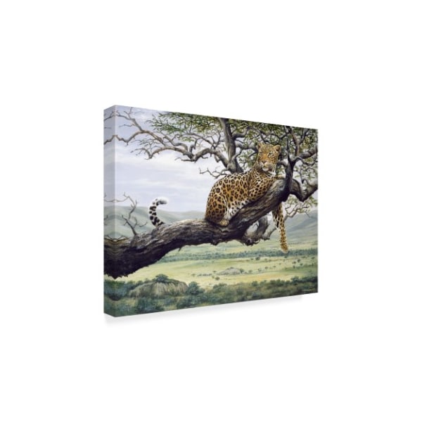 Trademark Fine Art Harro Maass 'Leopard In Tree' Canvas Art, 35x47 - ALI35558-C3547GG