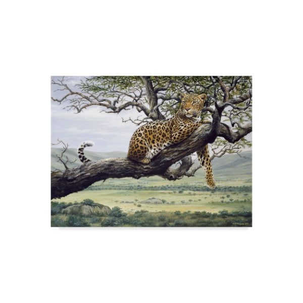 Trademark Fine Art Harro Maass 'Leopard In Tree' Canvas Art, 35x47 - ALI35558-C3547GG