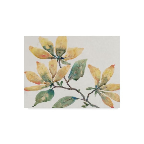 Trademark Fine Art Tim Otoole 'Flowering Branch Ii' Canvas Art, 35x47 - WAG09608-C3547GG