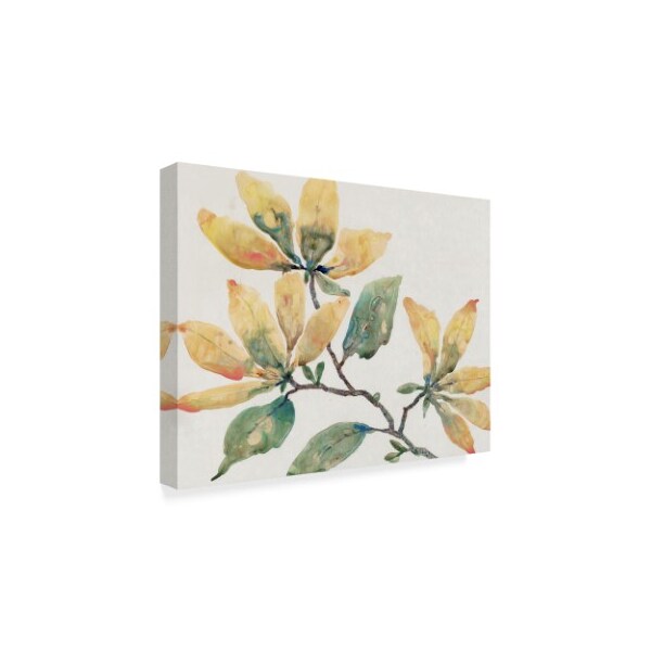 Trademark Fine Art Tim Otoole 'Flowering Branch Ii' Canvas Art, 35x47 - WAG09608-C3547GG