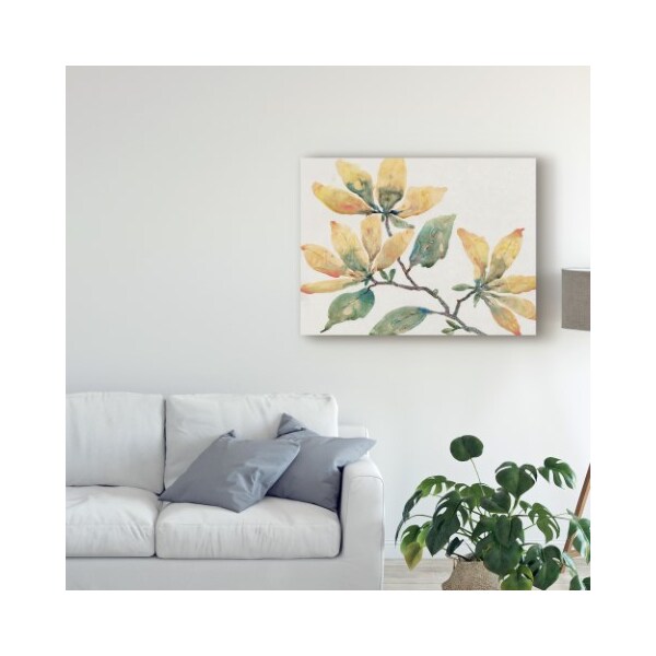 Trademark Fine Art Tim Otoole 'Flowering Branch Ii' Canvas Art, 35x47 - WAG09608-C3547GG