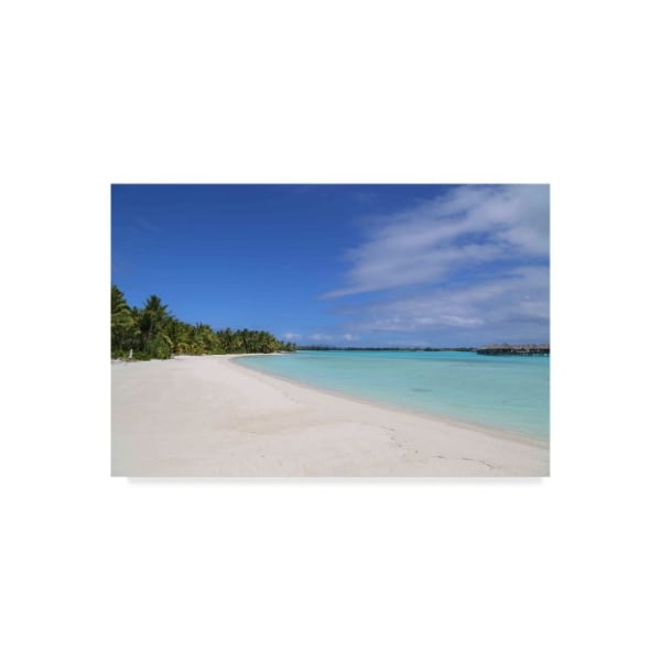 Trademark Fine Art American School 'Bora Bora Beach' Canvas Art, 30x47 - BL02410-C3047GG