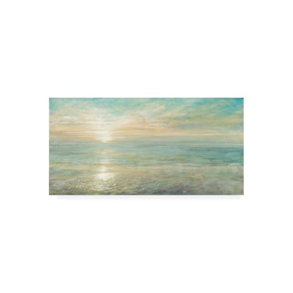 Trademark Fine Art Danhui Nai 'Sunrise Painting' Canvas Art, 16x32 - WAP10713-C1632GG