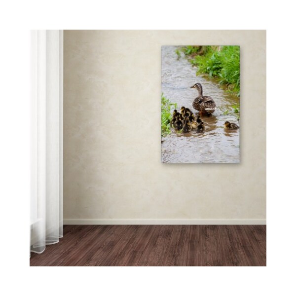 Trademark Fine Art Robert Harding Picture Library 'Baby Duck' Canvas Art, 12x19 - ALI19452-C1219GG