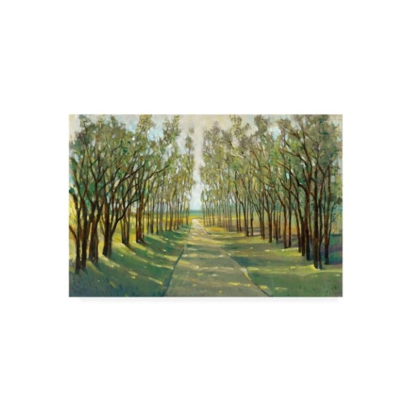 Trademark Fine Art Tim Otoole 'Forest Path' Canvas Art, 22x32 - WAG11389-C2232GG