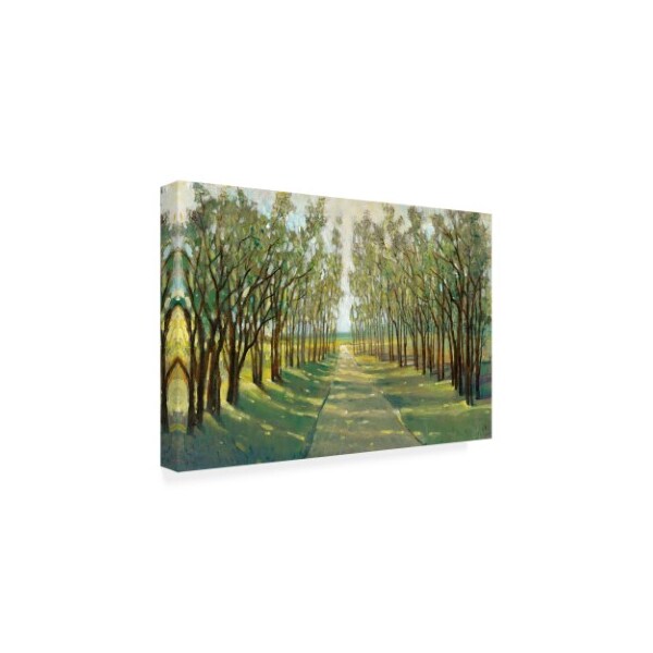 Trademark Fine Art Tim Otoole 'Forest Path' Canvas Art, 22x32 - WAG11389-C2232GG