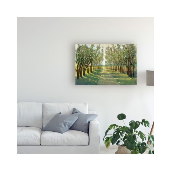 Trademark Fine Art Tim Otoole 'Forest Path' Canvas Art, 22x32 - WAG11389-C2232GG