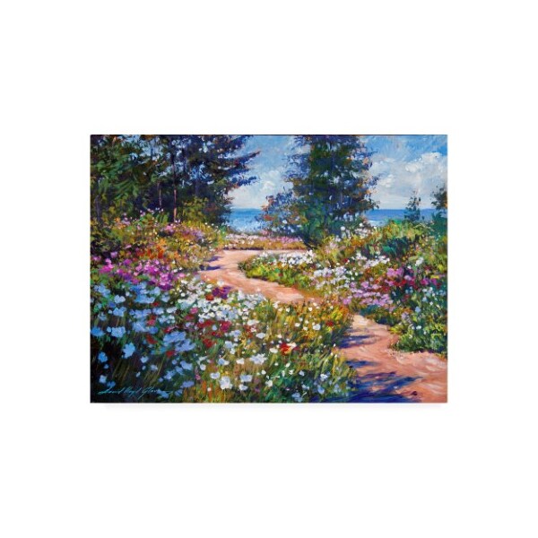 Trademark Fine Art David Lloyd Glover 'The Pathway To The Sea' Canvas Art, 35x47 - DLG00934-C3547GG