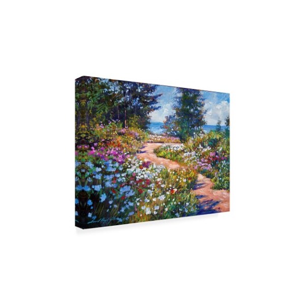 Trademark Fine Art David Lloyd Glover 'The Pathway To The Sea' Canvas Art, 35x47 - DLG00934-C3547GG
