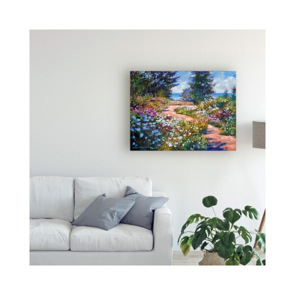 Trademark Fine Art David Lloyd Glover 'The Pathway To The Sea' Canvas Art, 35x47 - DLG00934-C3547GG