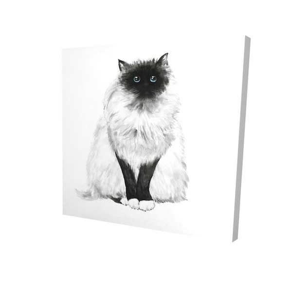 Fondo 16 x 16 in. Blue Eyes Fluffy Siamese Cat-Print on Canvas - FO2791982