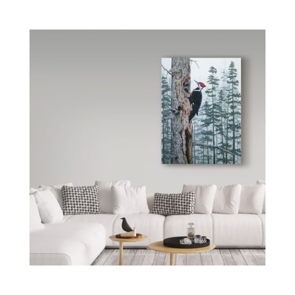 Trademark Fine Art Jeff Tift 'Piliated Woodpeckers' Canvas Art, 14x19 - ALI30269-C1419GG