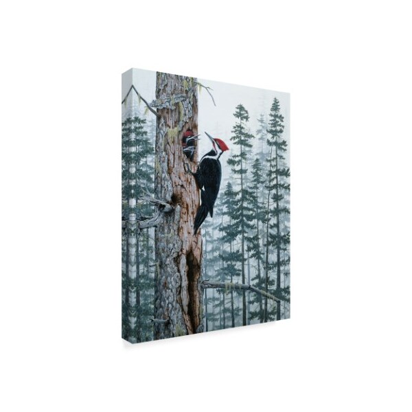 Trademark Fine Art Jeff Tift 'Piliated Woodpeckers' Canvas Art, 14x19 - ALI30269-C1419GG