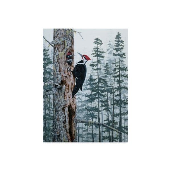 Trademark Fine Art Jeff Tift 'Piliated Woodpeckers' Canvas Art, 14x19 - ALI30269-C1419GG