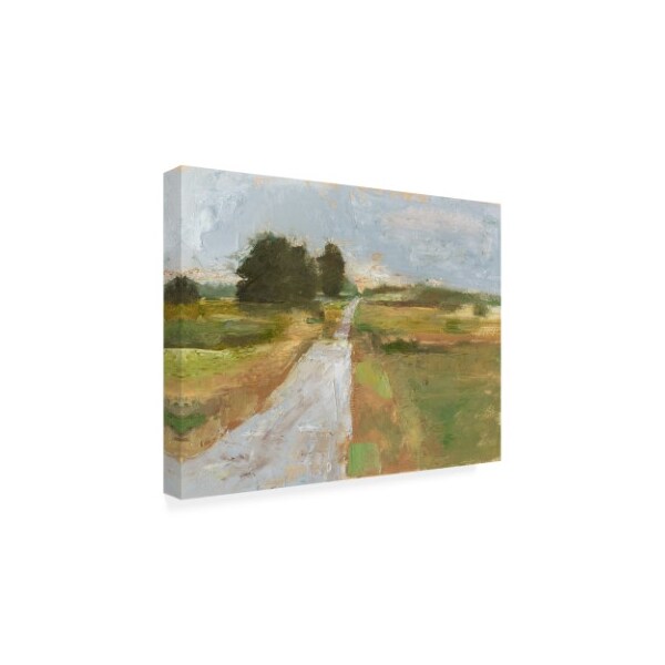 Trademark Fine Art Ethan Harper 'Back Country Road I' Canvas Art, 24x32 - WAG14183-C2432GG