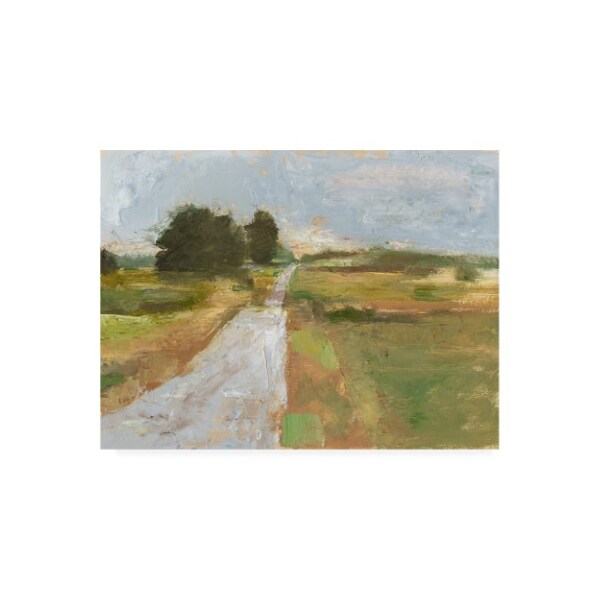Trademark Fine Art Ethan Harper 'Back Country Road I' Canvas Art, 24x32 - WAG14183-C2432GG