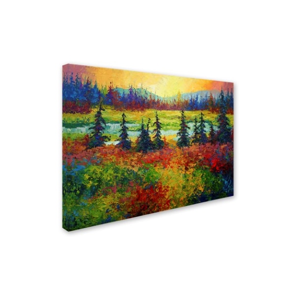 Trademark Fine Art Marion Rose 'Ak' Canvas Art, 35x47 - ALI15417-C3547GG