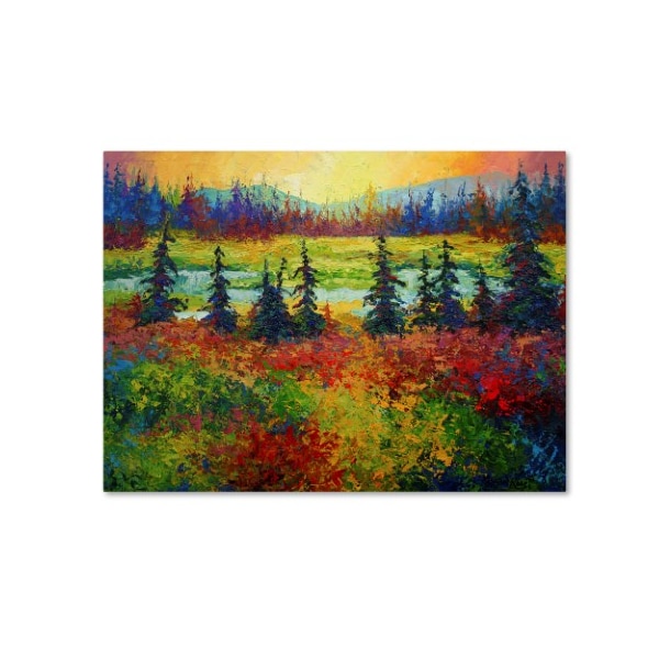 Trademark Fine Art Marion Rose 'Ak' Canvas Art, 35x47 - ALI15417-C3547GG