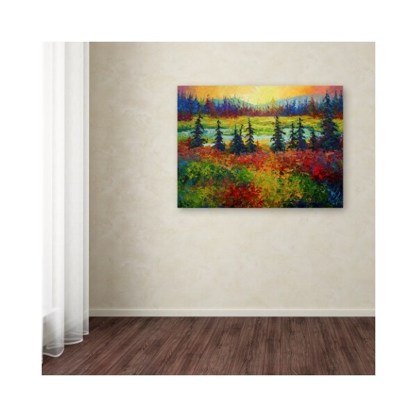 Trademark Fine Art Marion Rose 'Ak' Canvas Art, 35x47 - ALI15417-C3547GG