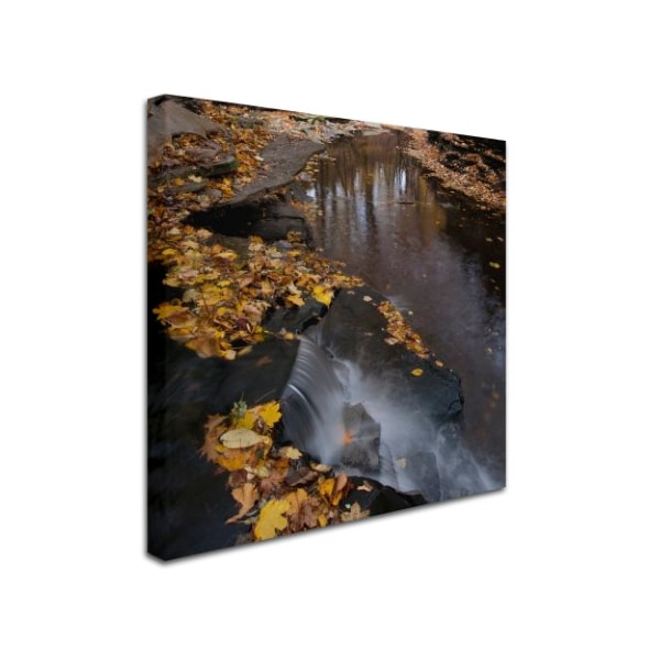 Trademark Fine Art Kurt Shaffer 'Lakeview Autumn Waterfall No 2' Canvas Art, 18x18 - KS0141-C1818GG