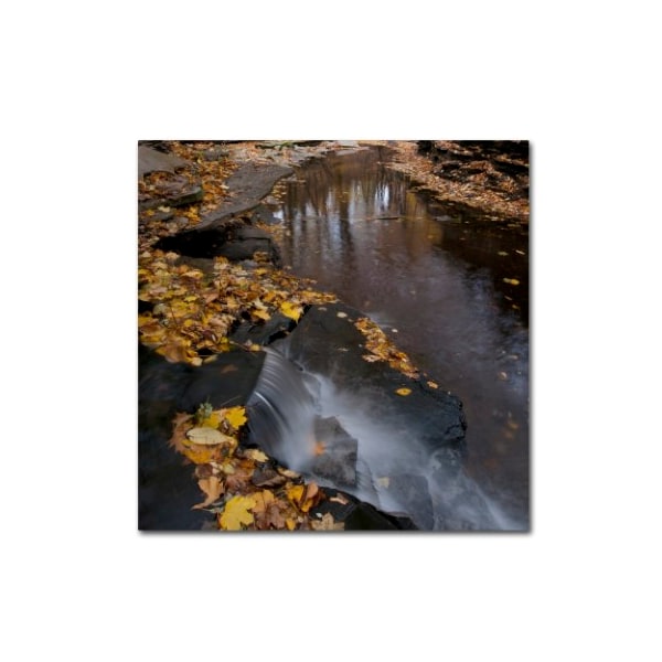 Trademark Fine Art Kurt Shaffer 'Lakeview Autumn Waterfall No 2' Canvas Art, 18x18 - KS0141-C1818GG