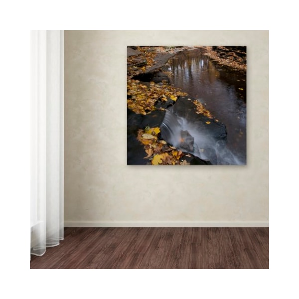 Trademark Fine Art Kurt Shaffer 'Lakeview Autumn Waterfall No 2' Canvas Art, 18x18 - KS0141-C1818GG