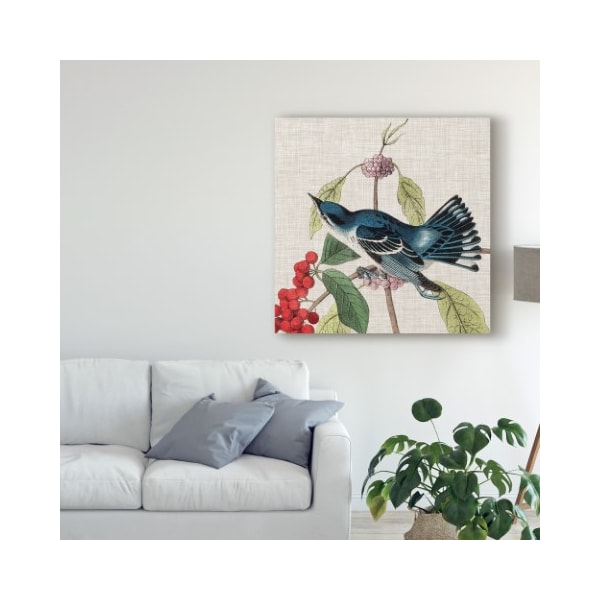 Trademark Fine Art John James Audubon 'Avian Crop Iii' Canvas Art, 18x18 - WAG09431-C1818GG