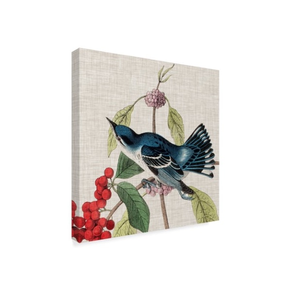 Trademark Fine Art John James Audubon 'Avian Crop Iii' Canvas Art, 18x18 - WAG09431-C1818GG