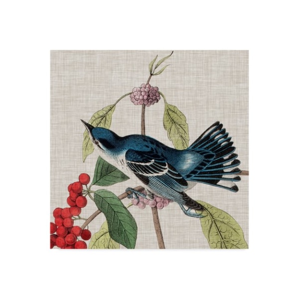 Trademark Fine Art John James Audubon 'Avian Crop Iii' Canvas Art, 18x18 - WAG09431-C1818GG