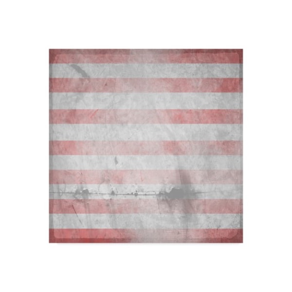 Trademark Fine Art Lightboxjournal 'American Born Stripes' Canvas Art, 18x18 - ALI23736-C1818GG