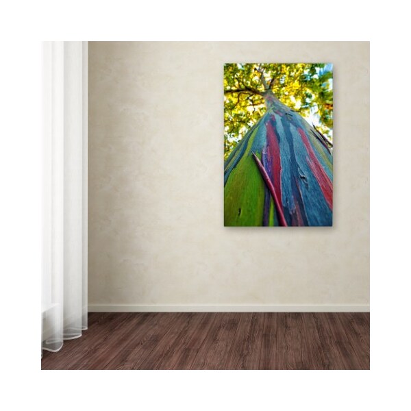 Trademark Fine Art CATeyes 'Rainbow Eucalyptus Tree' Canvas Art, 22x32 - MZ0356-C2232GG
