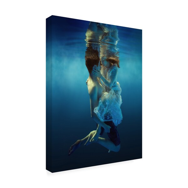 Trademark Fine Art Dmitry Laudin 'Only Two' Canvas Art, 24x32 - 1X08923-C2432GG
