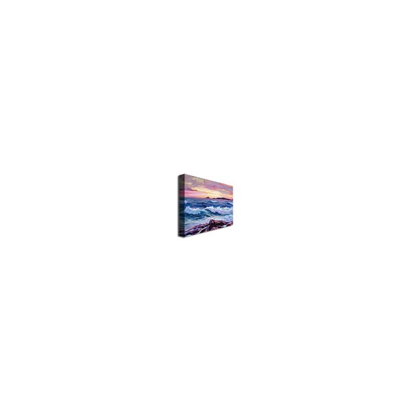 Trademark Fine Art David Lloyd Glover 'California Sunset' Canvas Art, 35x47 - DLG0085-C3547GG