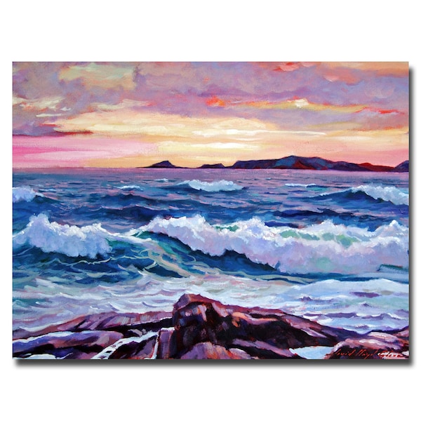 Trademark Fine Art David Lloyd Glover 'California Sunset' Canvas Art, 35x47 - DLG0085-C3547GG